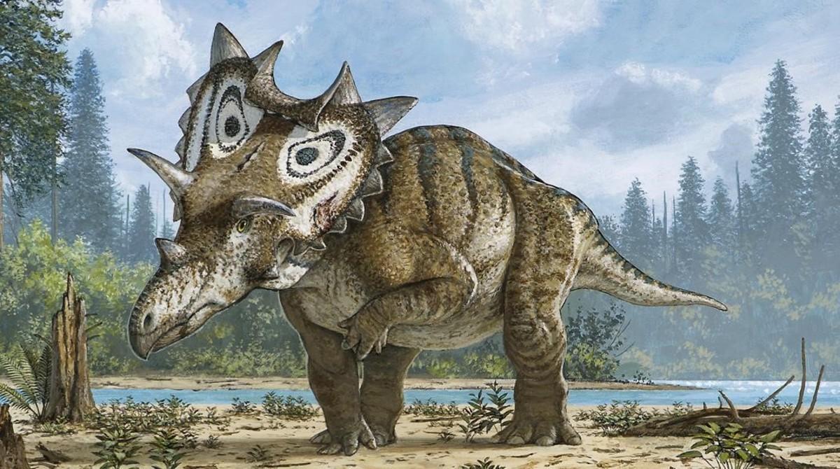 Descubierta una nueva especie de dinosaurio con cuernos y púas