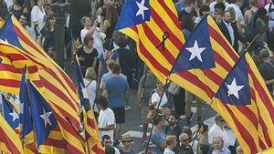 Estelades en una manifestación.  
