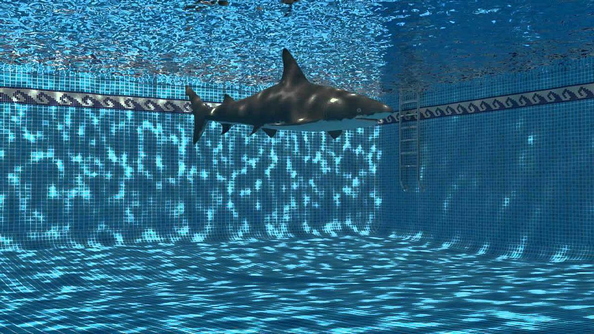 El Mundo Today | "En la piscina de mi gimnasio han metido un tiburón para animarnos a nadar más rápido" El Mundo Today | "En la piscina de mi gimnasio han metido un tiburón para animarnos a nadar más rápido"