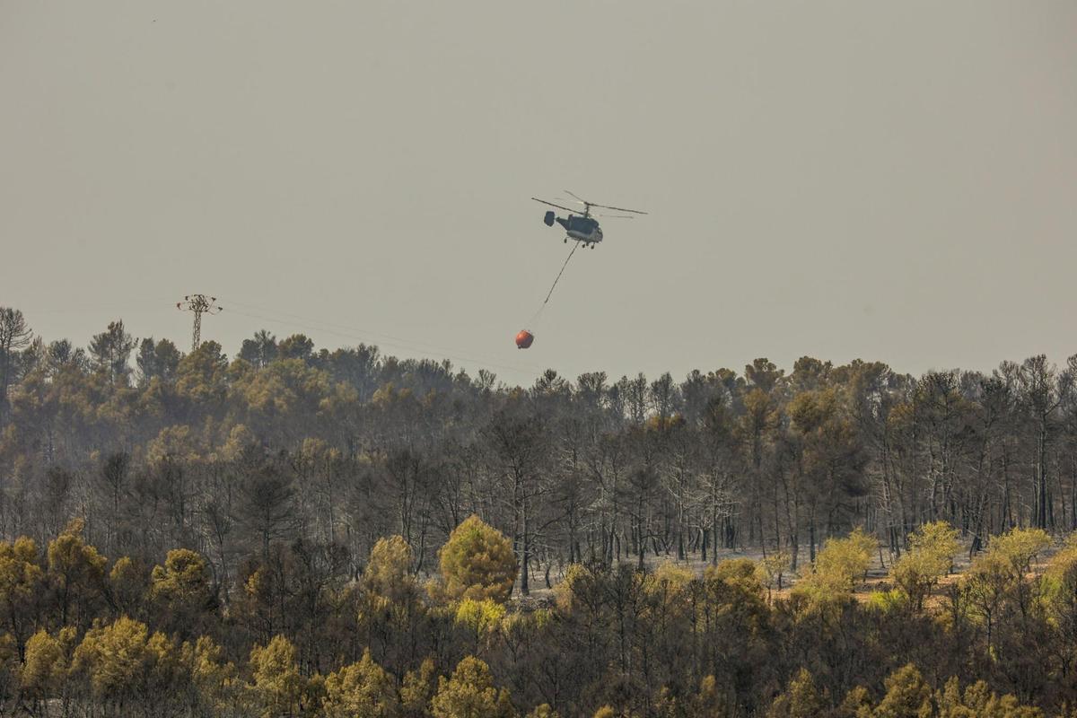 Imagen de hoy de medios aéreos trabajando en los trabajos de extinción del incendio declarado el domingo en Venta del Moro, en el límite entre Valencia y Cuenca. EFE/ Biel Aliño