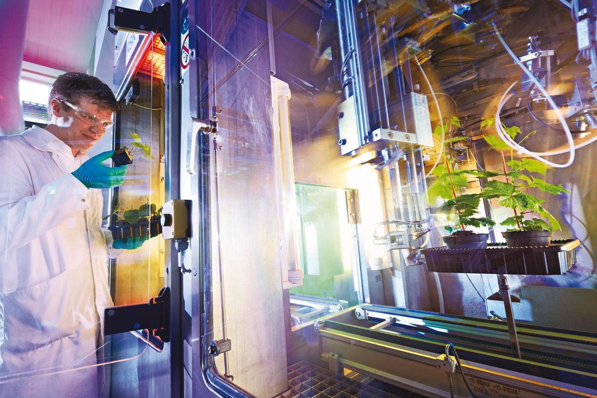 Ciència i innovació per a l’alimentació del futur Ciència i innovació per a l’alimentació del futur