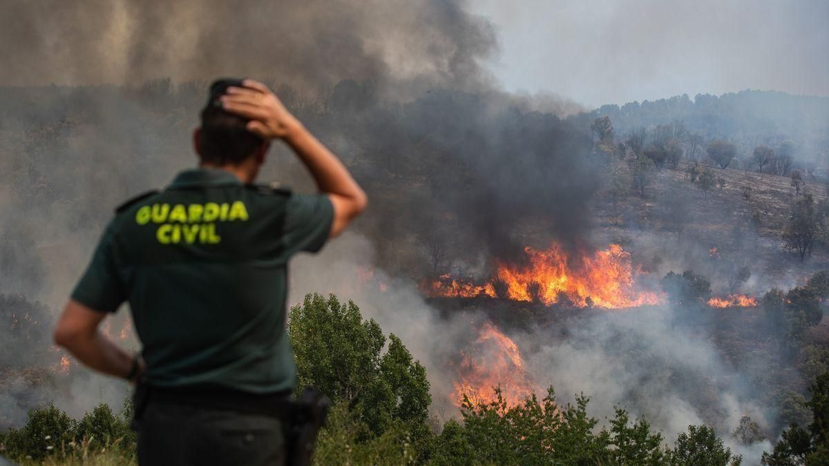 "El abandono ha convertido las masas forestales en auténticos polvorines", alerta Greenpeace "El abandono ha convertido las masas forestales en auténticos polvorines", alerta Greenpeace