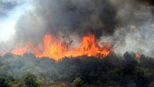 Argelia lucha contra un centenar de incendios en el norte del país