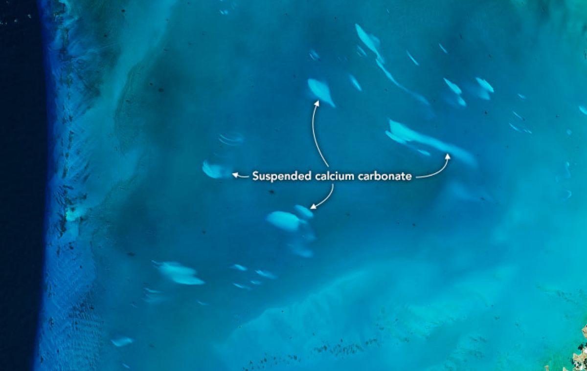 Misteriosas "nubes blancas" aparecen en el mar en Bahamas y nadie puede explicarlo Misteriosas "nubes blancas" aparecen en el mar en Bahamas y nadie puede explicarlo