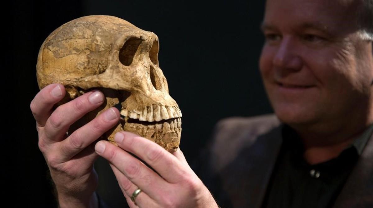 El profesor Lee Berger sujeta un cráneo prácticamente completo de un ’Homo naledi’.
