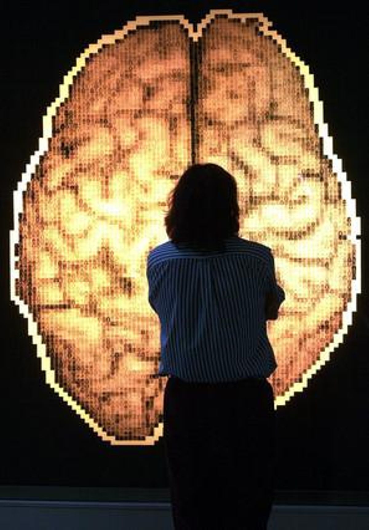 Un visitante observa un mapa del cerebro humano. Un visitante observa un mapa del cerebro humano.