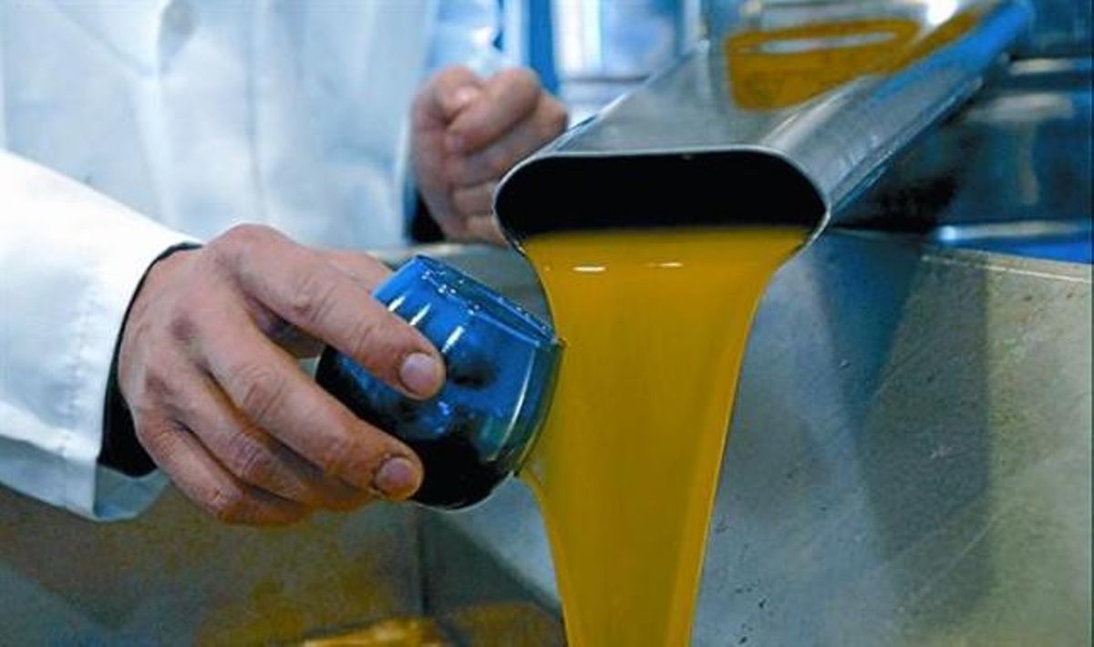 Producción de aceite en una almazara de Jaén. Producción de aceite en una almazara de Jaén.