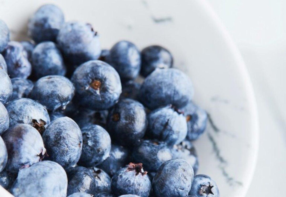 Revelen l'origen real del blau metàl·lic en la naturalesa Revelen l'origen real del blau metàl·lic en la naturalesa