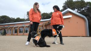 La Barnahus de Tarragona coordina todos los casos de violencia sexual y atiende a todos los menores que son víctimas con varios proyectos, entre ellos una con perros.