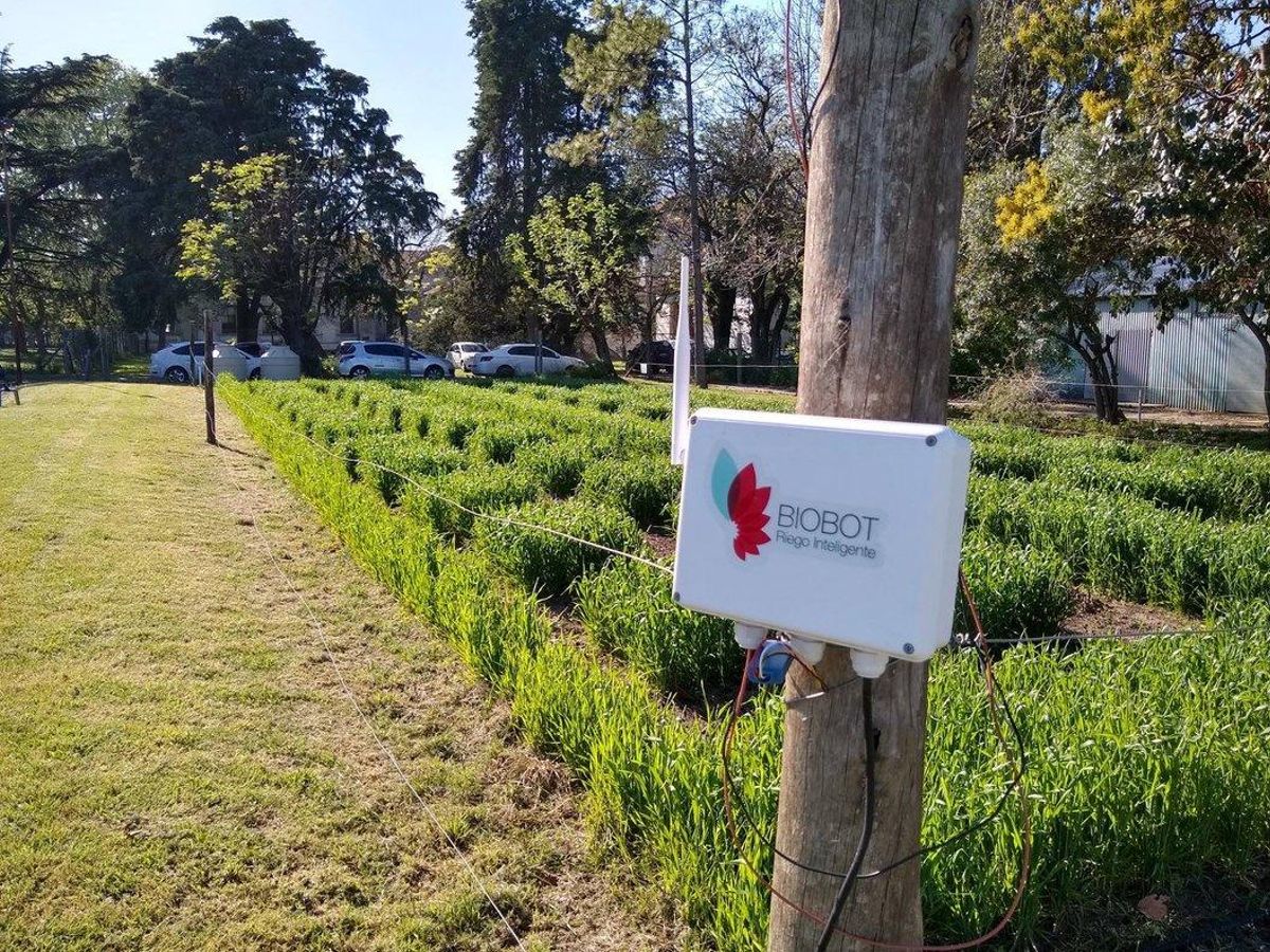 Campo controlado con el sistema de riego inteligente Biobot. Campo controlado con el sistema de riego inteligente Biobot.
