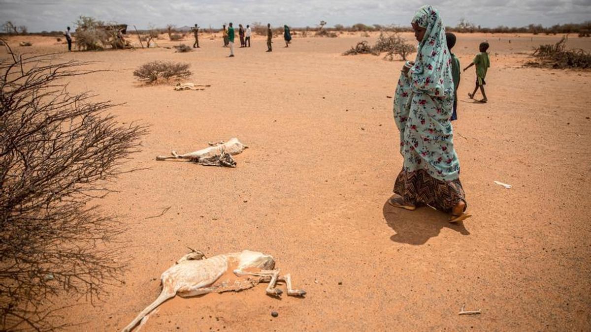 Un grupo de personas desplazadas por la sequía junto a animales fallecidos en Dollow, Somalia.