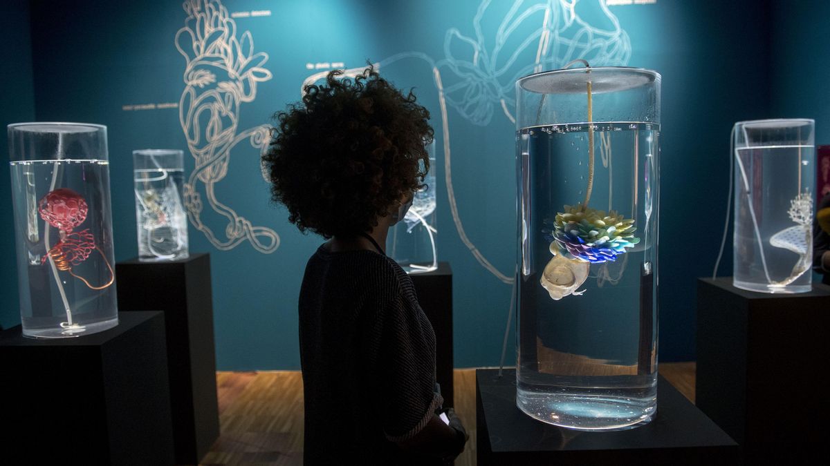 Instalación ‘Ecosystem of Excess’, de Pinar Yoldas, que fabula con la simbiosis de microorganismos con microplásticos en el océano, en ‘Ciencia Fricción’. Instalación ‘Ecosystem of Excess’, de Pinar Yoldas, que fabula con la simbiosis de microorganismos con microplásticos en el océano, en ‘Ciencia Fricción’.