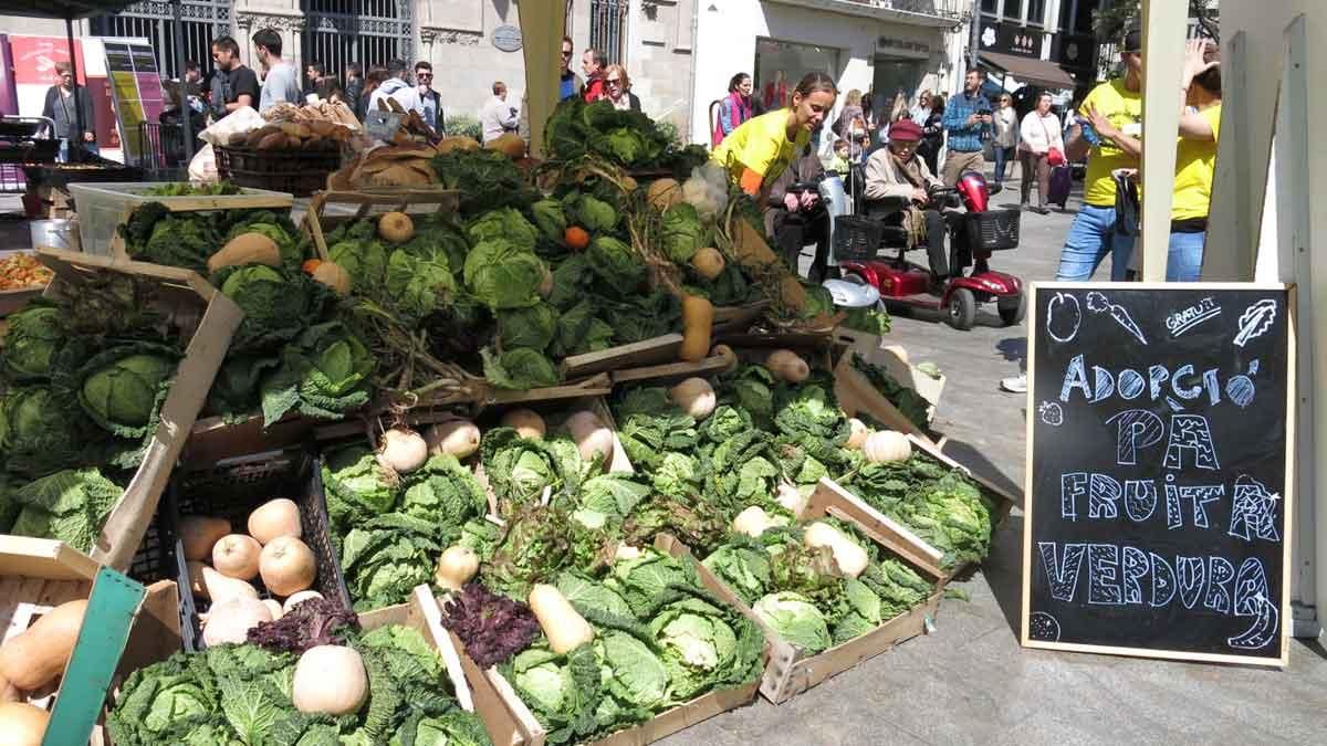 Alimentos proporcionados por la Plataforma d’Aliments Aprofitats (PAA) en un puesto callejero. Alimentos proporcionados por la Plataforma d’Aliments Aprofitats (PAA) en un puesto callejero.