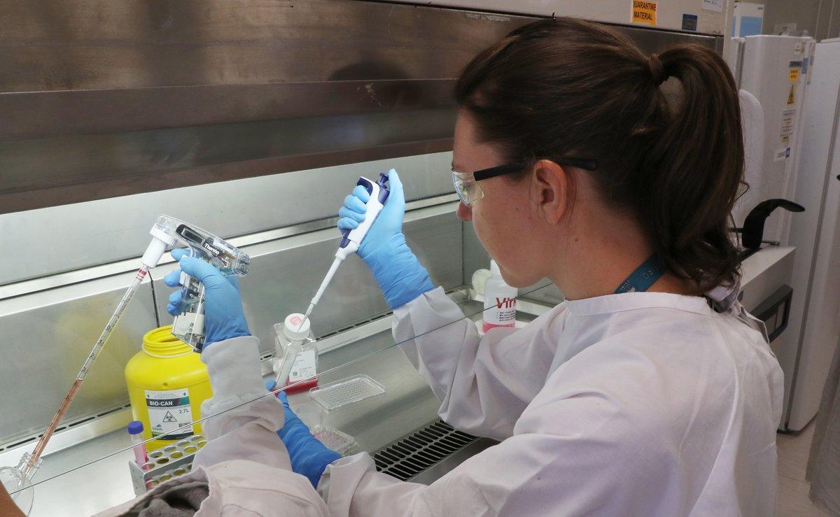 Una científica investiga el coronavirus, en un laboratorio de Victoria (Australia).