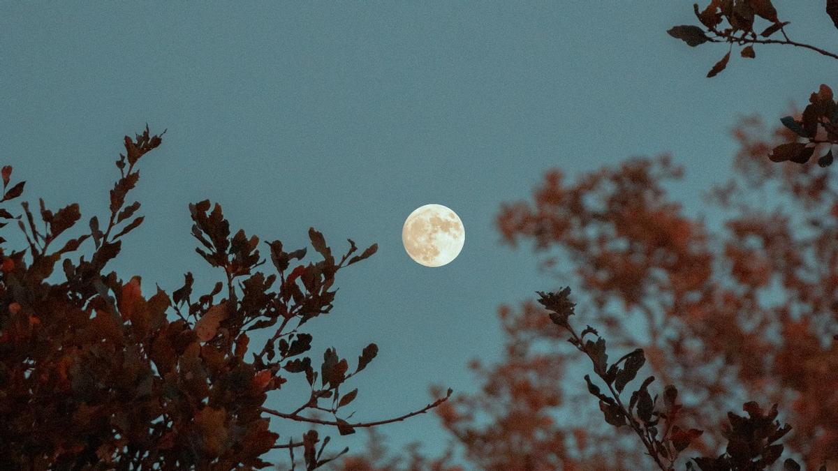 Luna Llena Octubre 2022 Cu ndo Y C mo Ver La Luna Del Cazador