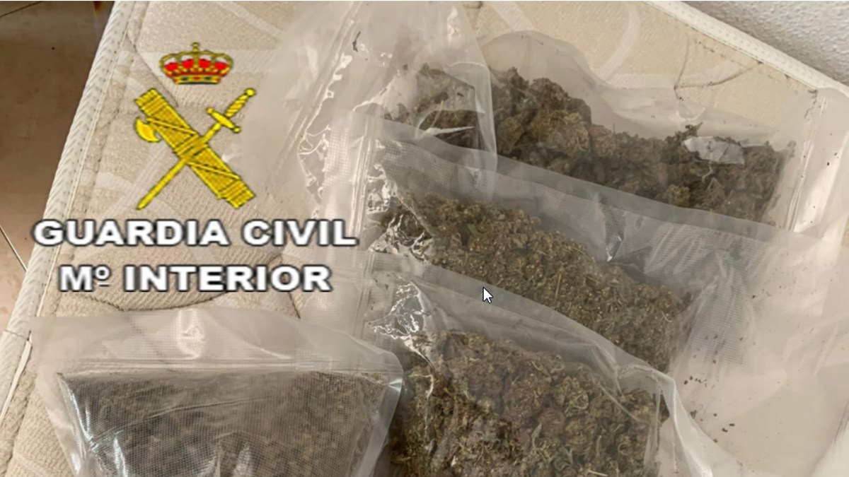 Alijo de marihuana envasada para enviar por paquete postal, incautado en Marbella en julio de 2020.