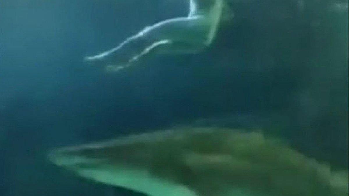 Una de las imágenes del vídeo en al que se ve al hombre desnudo mientras los tiburones del Acuario de Toronto le pasan por debajo, el pasado viernes.