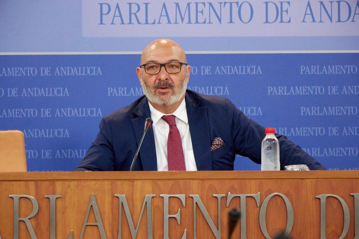 Alejandro Hernández, portavoz en el Parlamento andaluz de Vox Andalucía. Alejandro Hernández, portavoz en el Parlamento andaluz de Vox Andalucía.