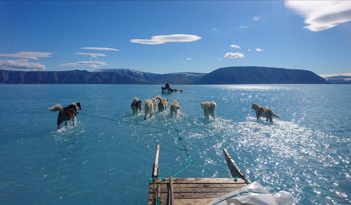 Espectacular imagen de unos perros tirando de un trineo sobre el agua en Groenlandia.