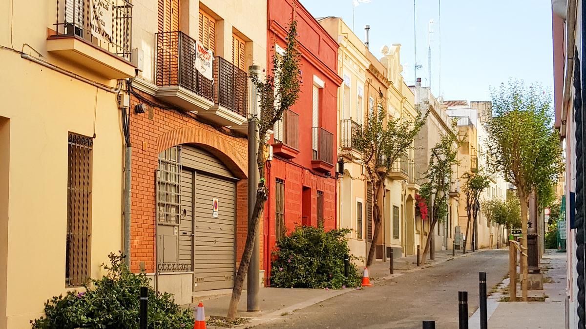 En comunidad | Los vecinos se quejan de la tala sin preaviso de árboles en  Sant Andreu