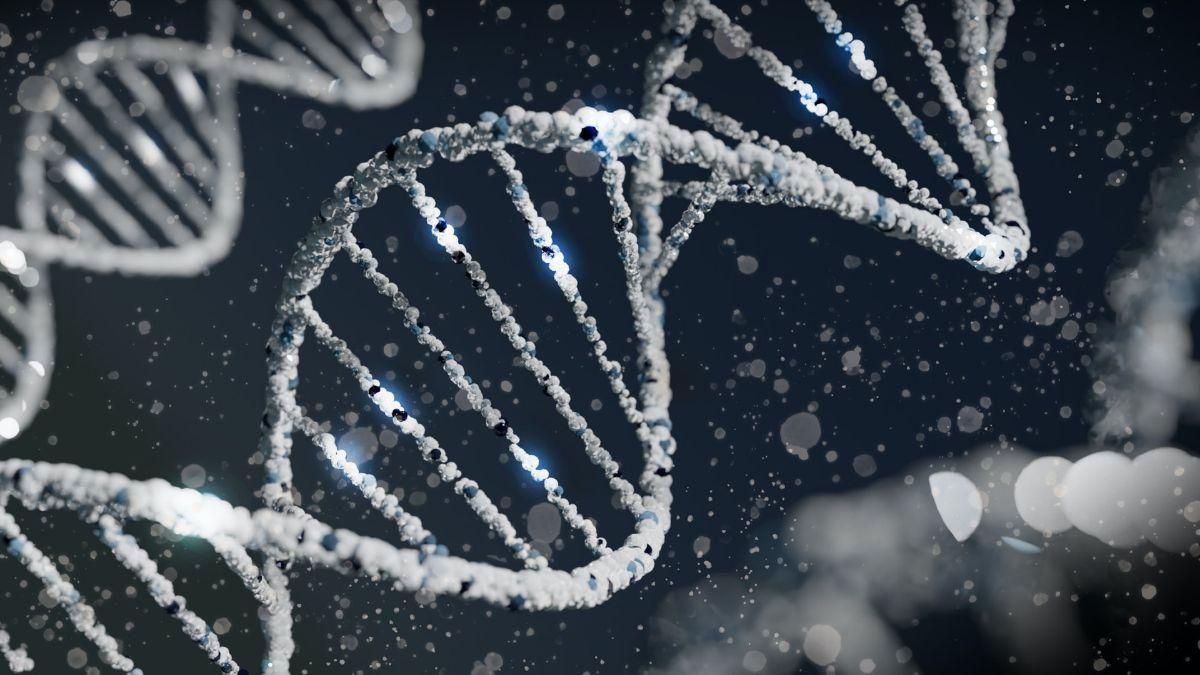 Un misterioso ADN revoluciona la edición de genes humanos Un misterioso ADN revoluciona la edición de genes humanos