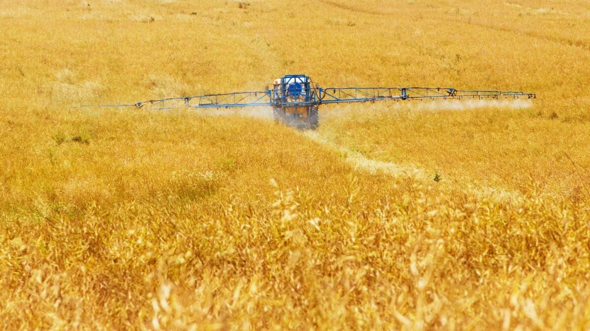Murcia y Canarias, entre los lugares de la UE más contaminados por nitratos Murcia y Canarias, entre los lugares de la UE más contaminados por nitratos