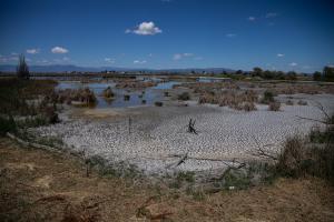El actual estado de la reserva de Riet Vell, normalmente llena de agua. 