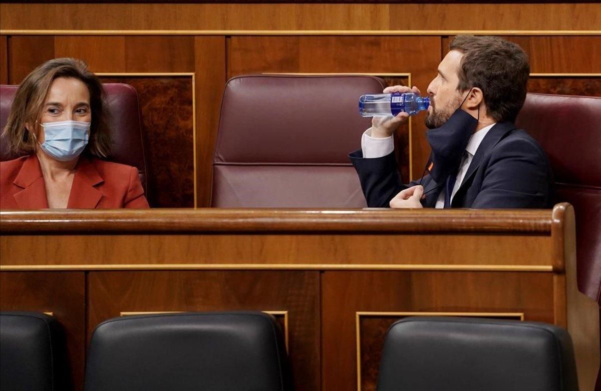 Pablo Casado y Cuca Gamarra, portavoz del PP, este jueves en el Congreso. Pablo Casado y Cuca Gamarra, portavoz del PP, este jueves en el Congreso.