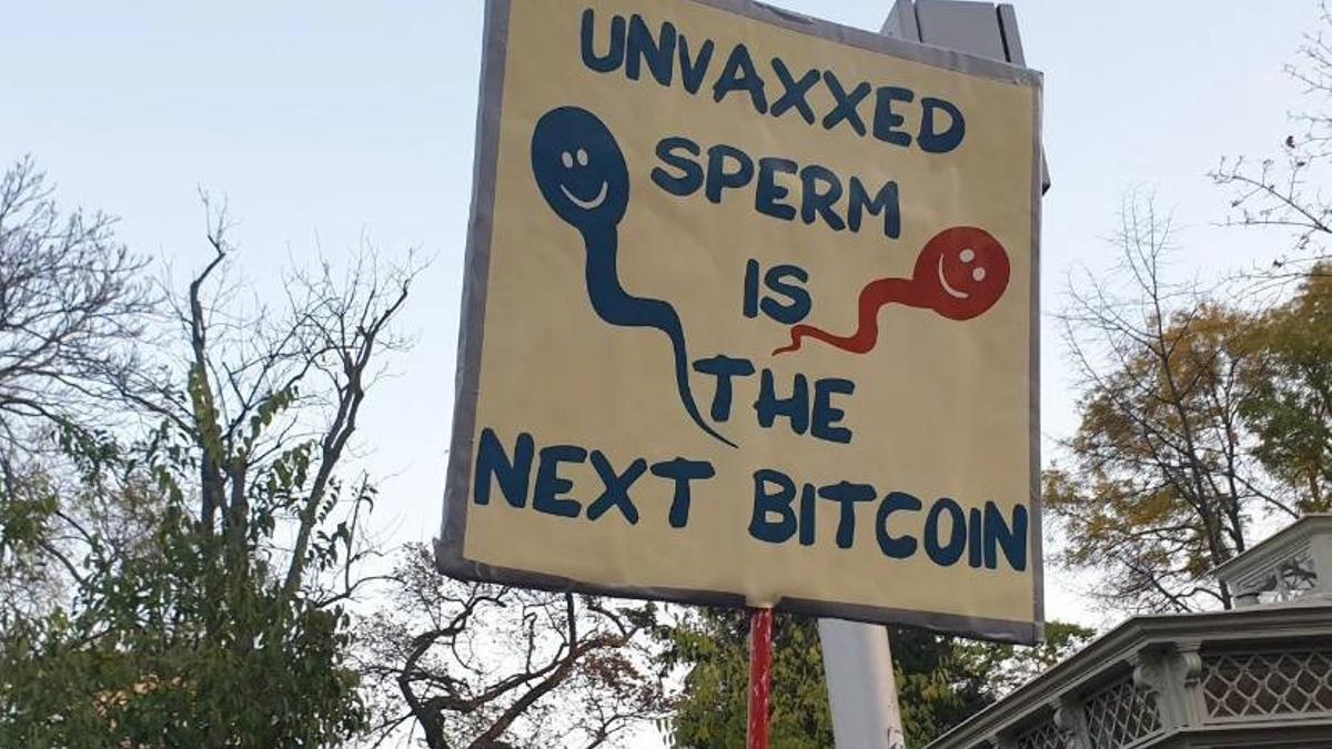Cartel en el que se puede leer Unvaxxed sperm is the next bitcoin, que significa El esperma del no vacunado es la próxima criptomoneda.