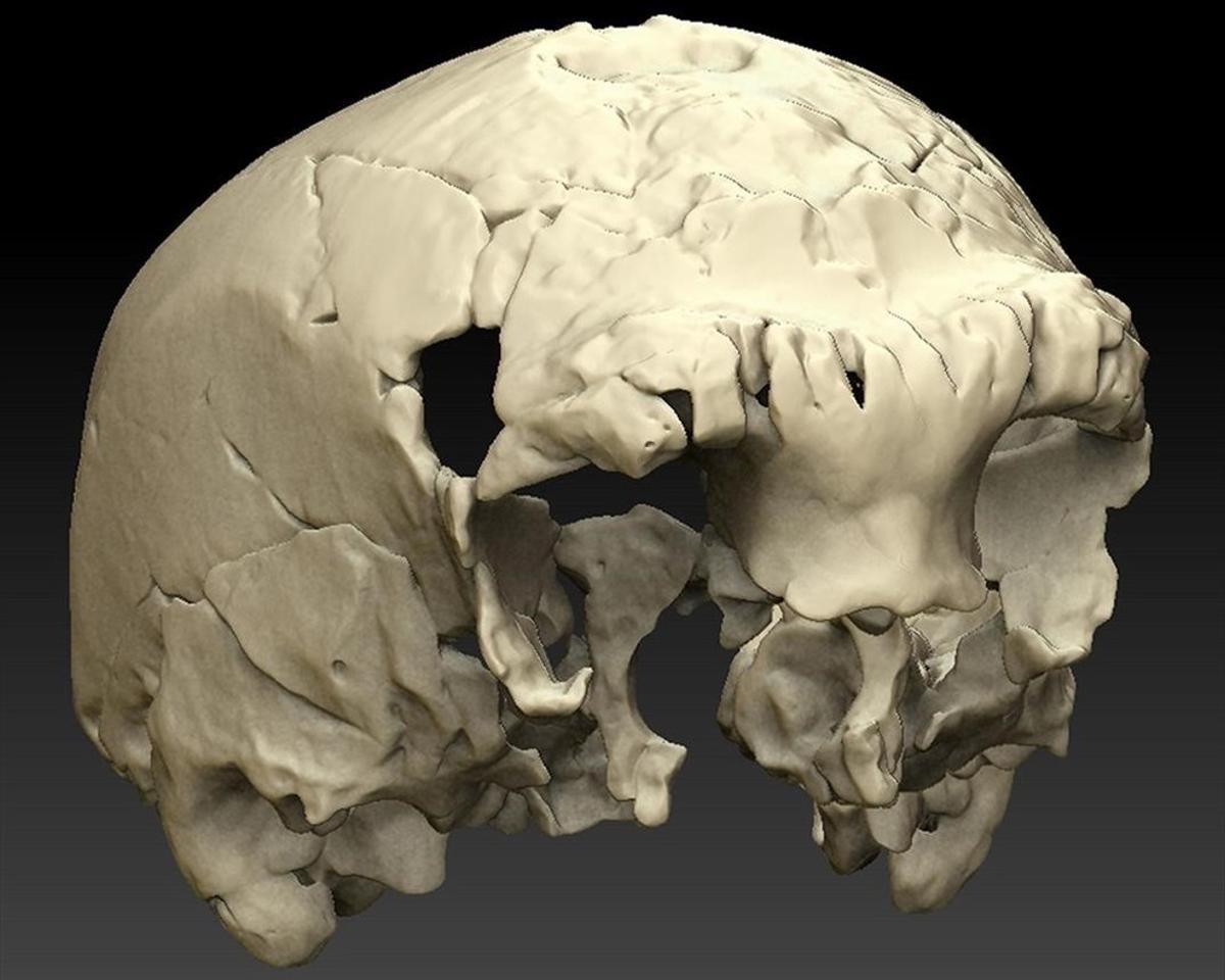 Reconstrucción virtual del cráneo Aroeira 3, localizado en el yacimiento portugués del mismo nombre. Tiene unos 400.000 años. Reconstrucción virtual del cráneo Aroeira 3, localizado en el yacimiento portugués del mismo nombre. Tiene unos 400.000 años.