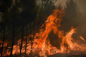 Las llamas se elevan en un incendio forestal cerca de Louchats, a unos 35 kilómetros de Landiras en Gironda, suroeste de Francia, el 18 de julio de 2022.