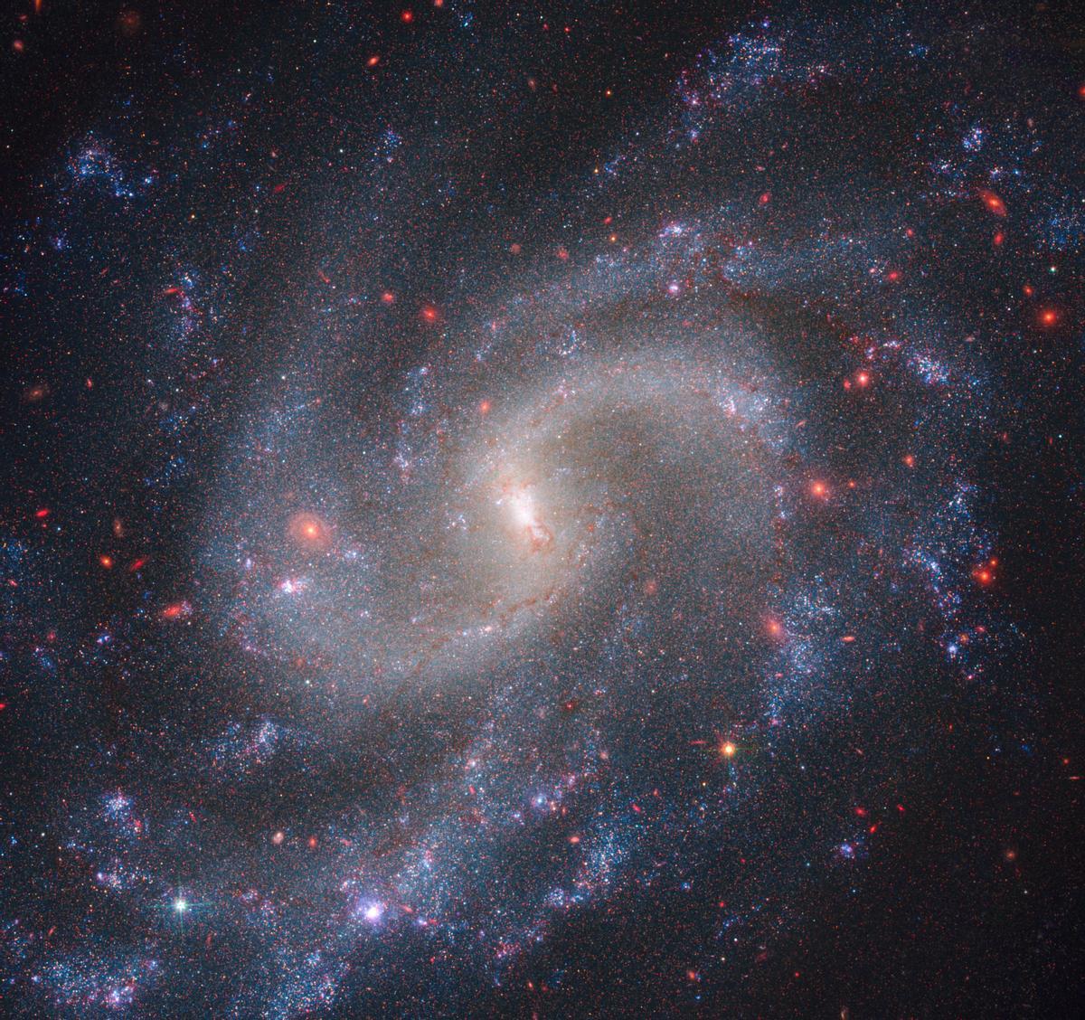 Entre las estrellas brillantes de la galaxia NGC 5584 (imagen) se encuentran estrellas pulsantes llamadas variables Cefeidas y supernovas de Tipo Ia, utilizadas por los astrónomos como marcadores de distancia fiables para medir la tasa de expansión del Universo.