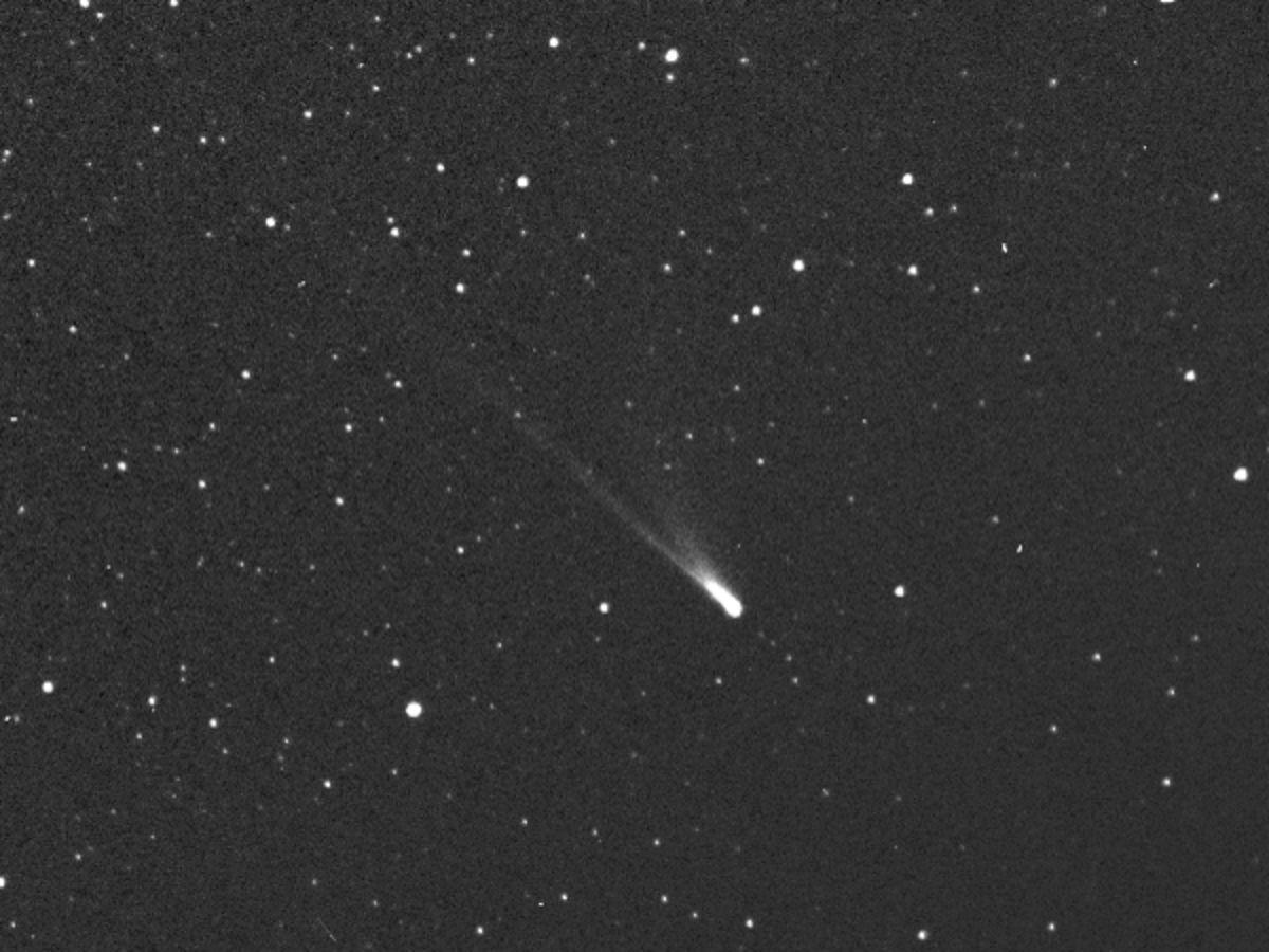 Un gigantesco cometa interestelar es captado en camino directo hacia el Sol Un gigantesco cometa interestelar es captado en camino directo hacia el Sol