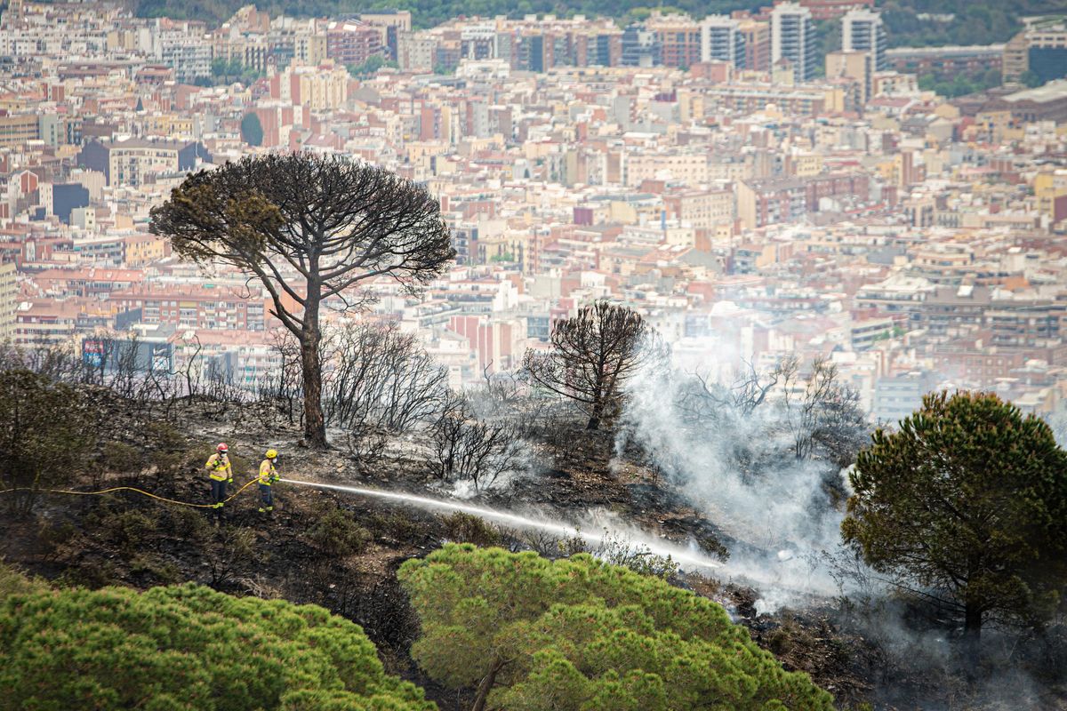 Alerta màxima a Collserola, un polvorí en plena sequera Alerta màxima a Collserola, un polvorí en plena sequera