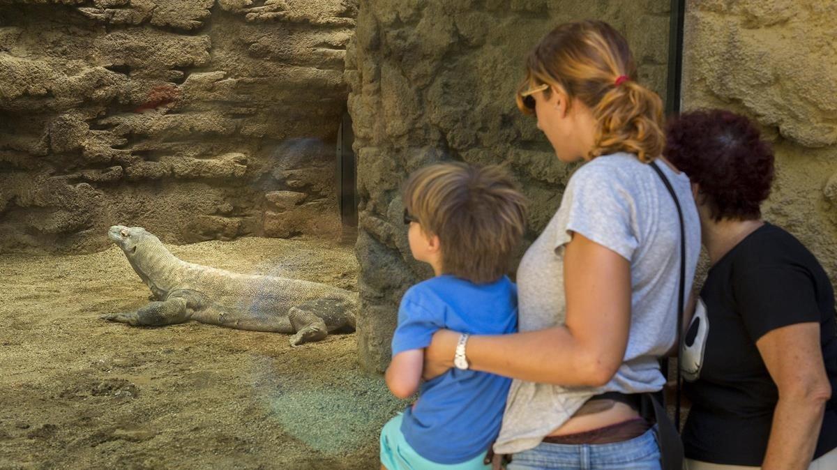Unos visitantes del Zoo de Barcelona, en la instalación de los dragones de Komodo Unos visitantes del Zoo de Barcelona, en la instalación de los dragones de Komodo