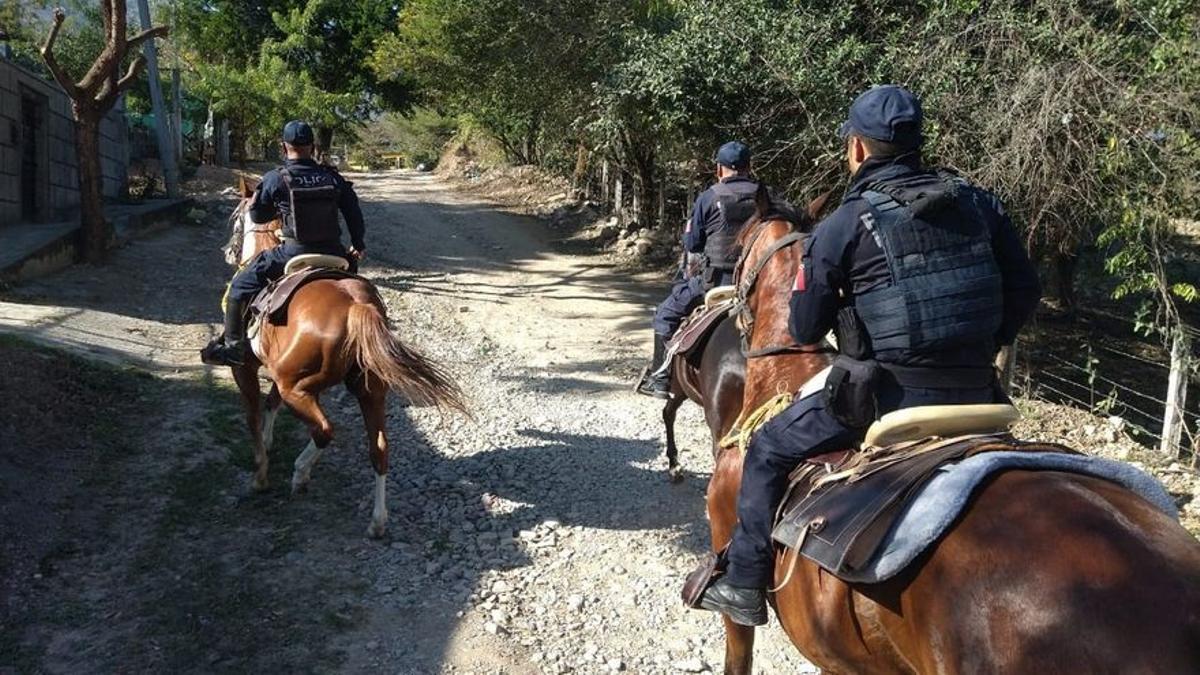 Policía a caballo en el estado de Tamaulipas, en México.
