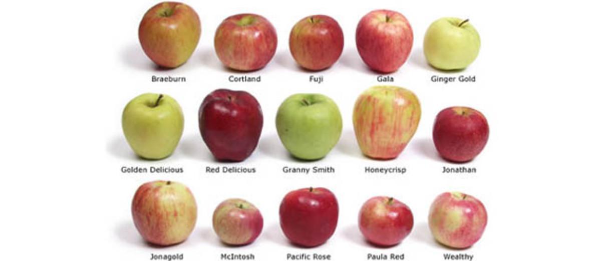 Tipos de manzanas.