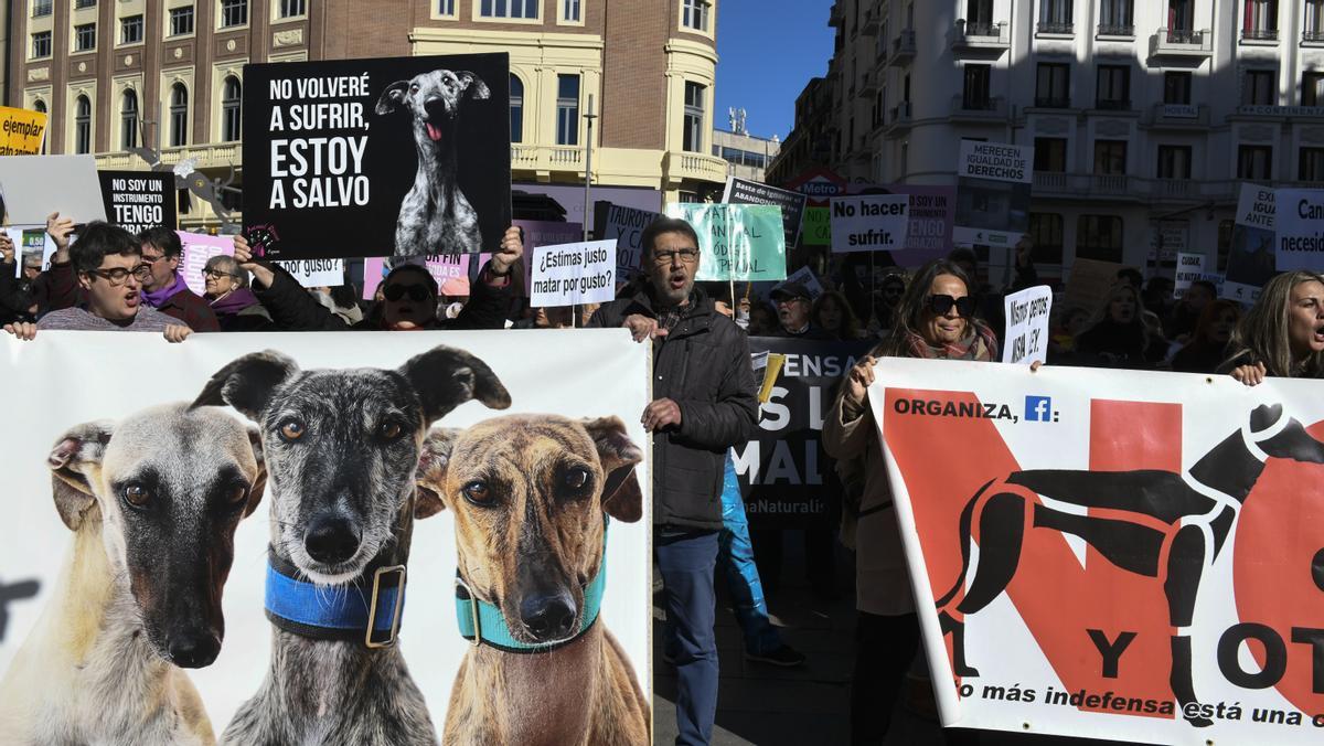 Protesta contra la caza con perros, convocada en el centro de Madrid.