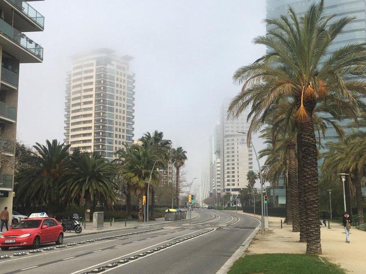 Niebla y humo en el Fòrum, este mediodía. Niebla y humo en el Fòrum, este mediodía.