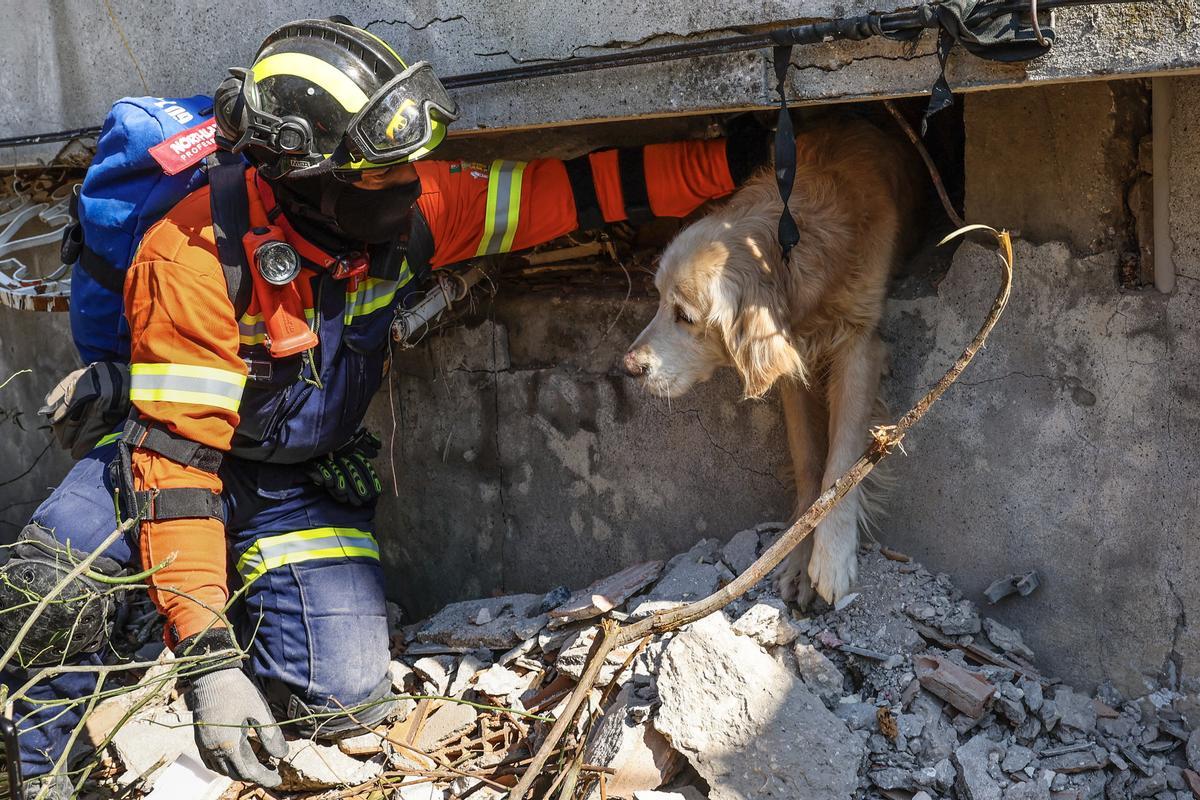 Un efectivo de los equipos de rescate salva a un perro en Antalya.