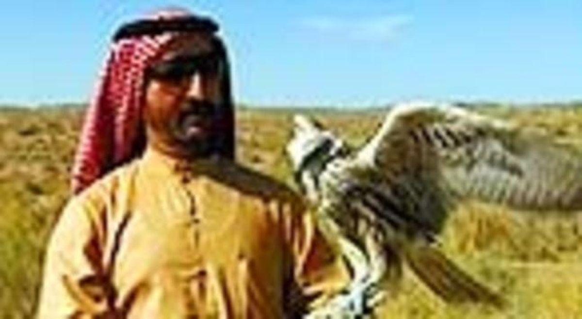 El jeque El Maktoum, con un halcón. El jeque El Maktoum, con un halcón.