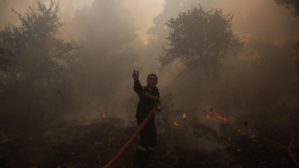Un bombero combate un incendio en Stamata, en el noreste de Atenas (Grecia). Un bombero combate un incendio en Stamata, en el noreste de Atenas (Grecia).