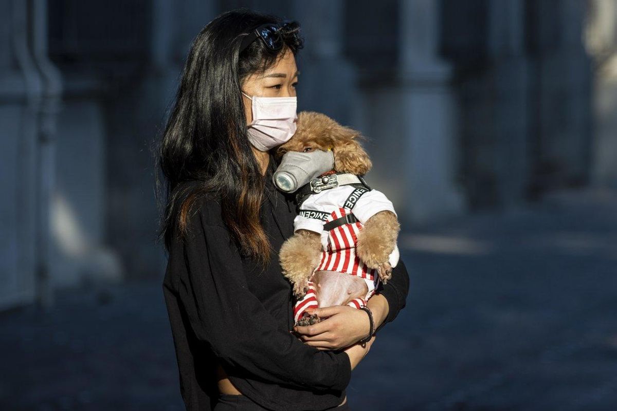 Una mujer y su mascota, con mascarillas, en la ciudad china de Guangzhou. Una mujer y su mascota, con mascarillas, en la ciudad china de Guangzhou.