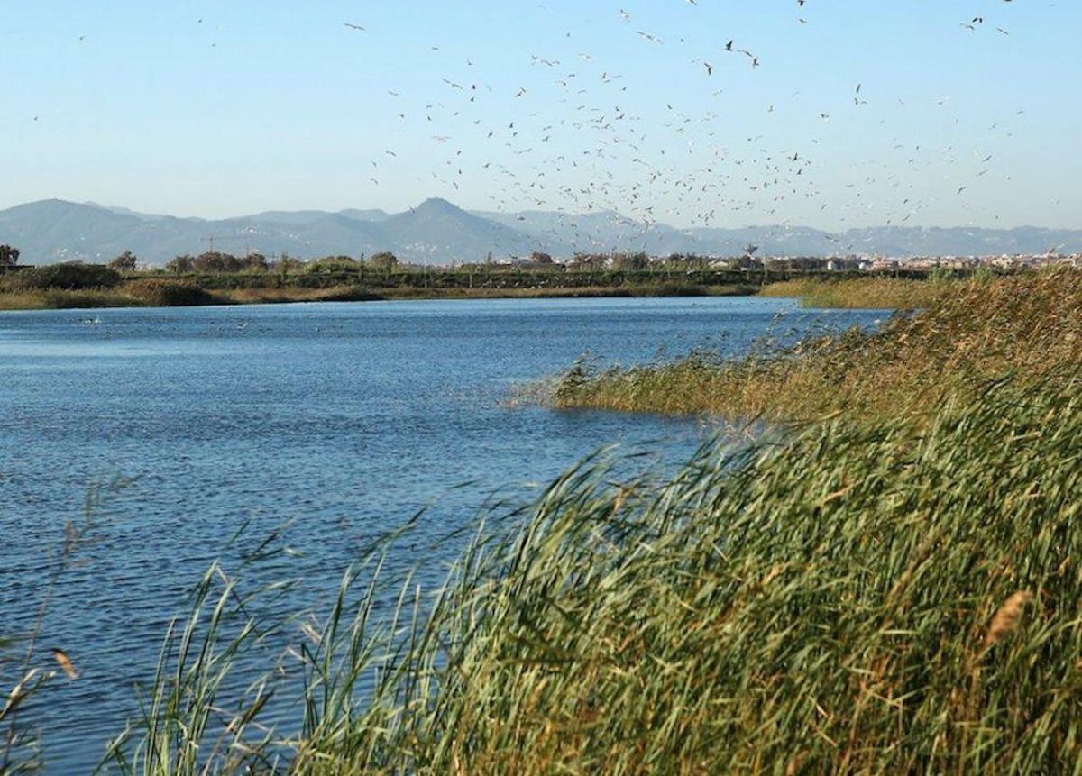 El reto del agua: combatir el cambio climático y generar ocupación de calidad El reto del agua: combatir el cambio climático y generar ocupación de calidad