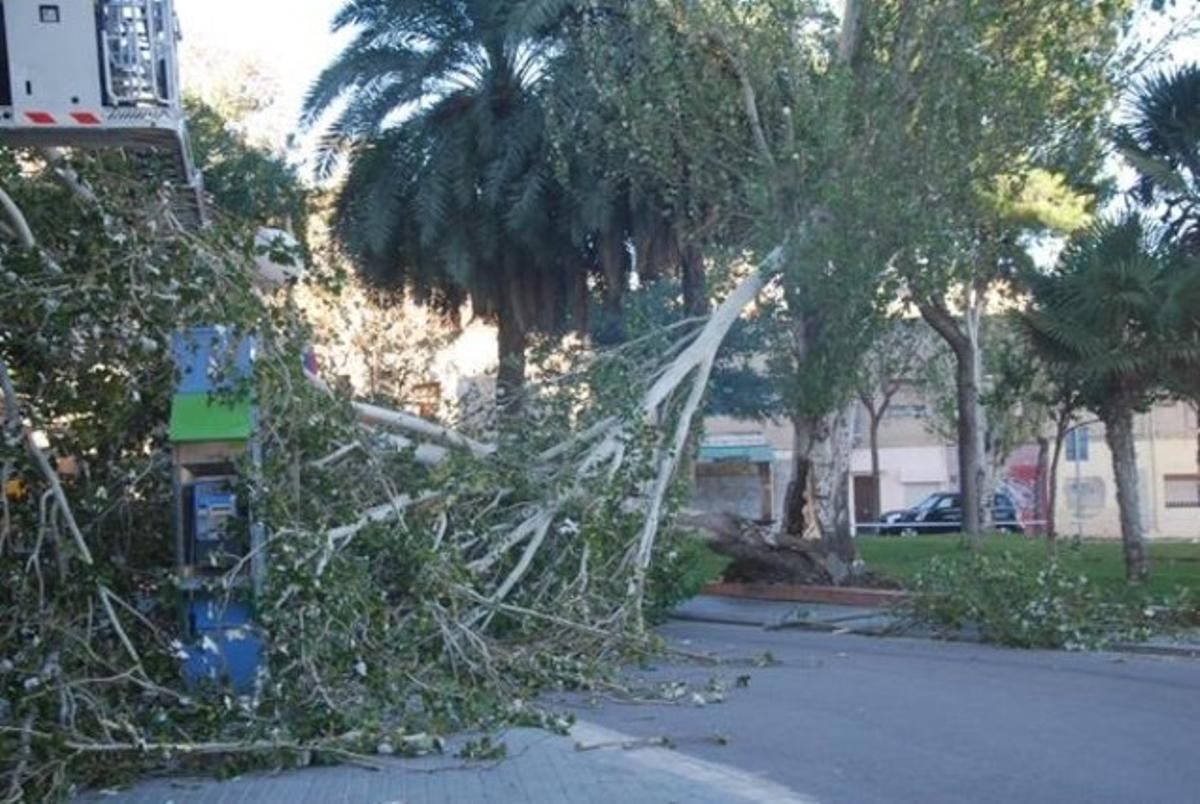 Bcn Tanca Els Parcs Com A Mesura De Precaucio Pel Vent