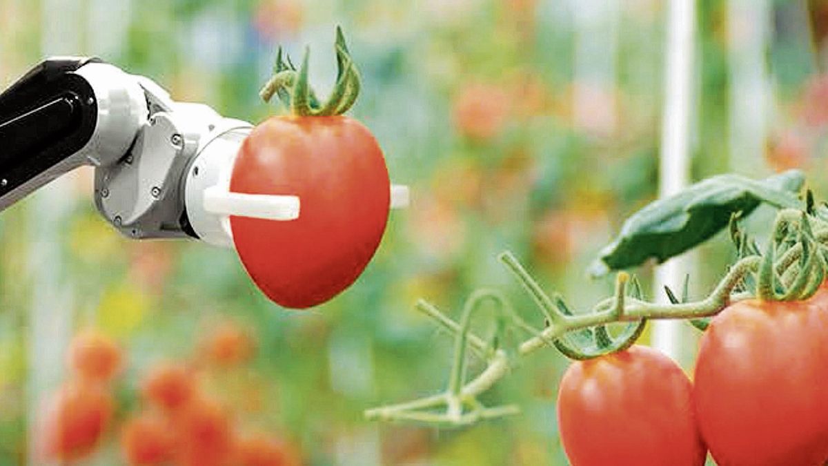 El futuro del campo será tecnológico El futuro del campo será tecnológico