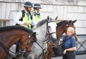 Una mujer policía da de beber a un caballo en Londres