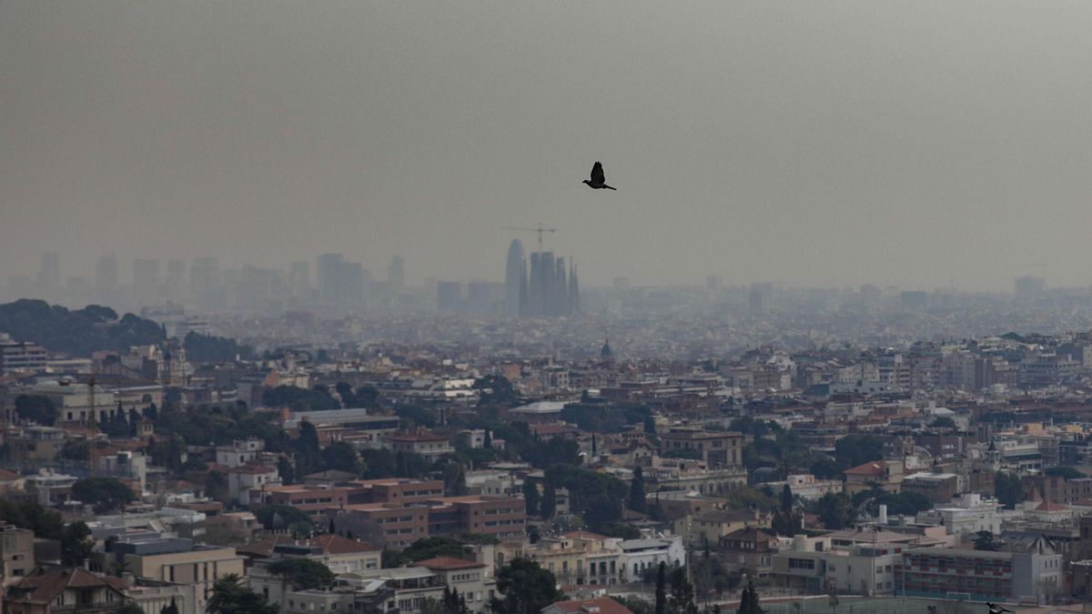 Científicos españoles revelan los peligros de la calima: por estos motivos puede ser mortal Científicos españoles revelan los peligros de la calima: por estos motivos puede ser mortal