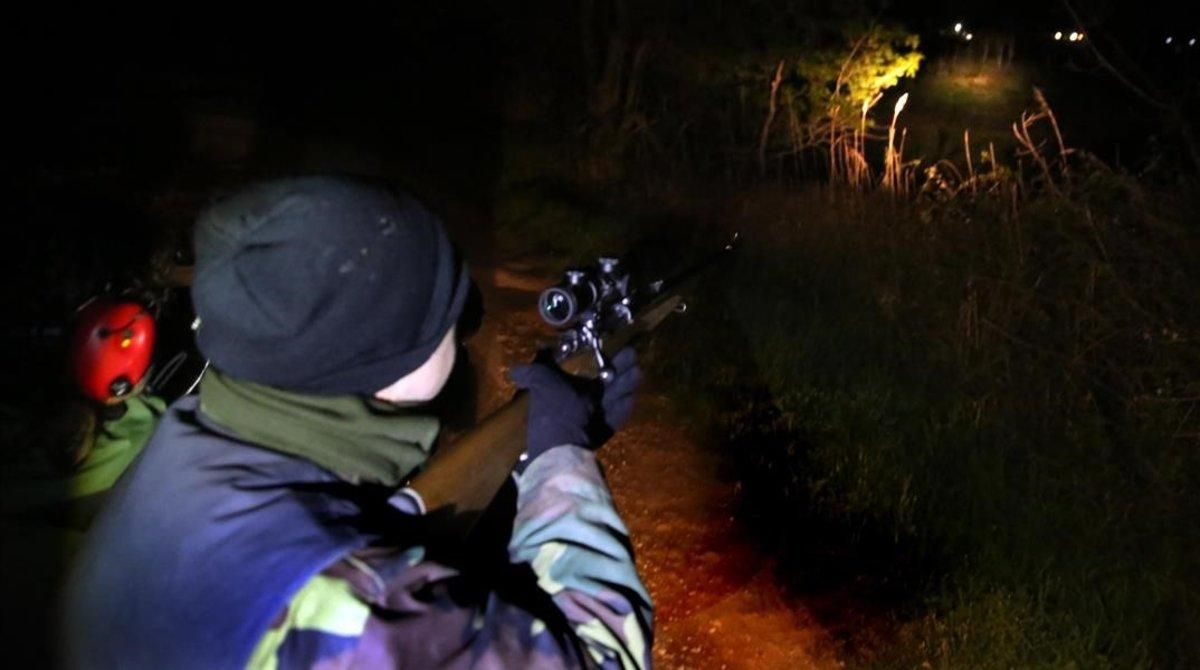 Batida nocturna para cazar jabalís, en el Empordà. Batida nocturna para cazar jabalís, en el Empordà.