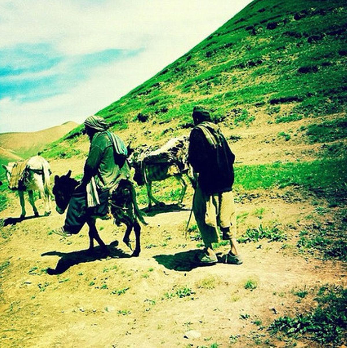 Estampa feudal. Pastors paixtus dalt d’un burro als turons del districte de Muqur. La primavera també ha arribat a l’Afganistan. Estampa insòlita. Amb pastures verdes després de les primeres pluges.